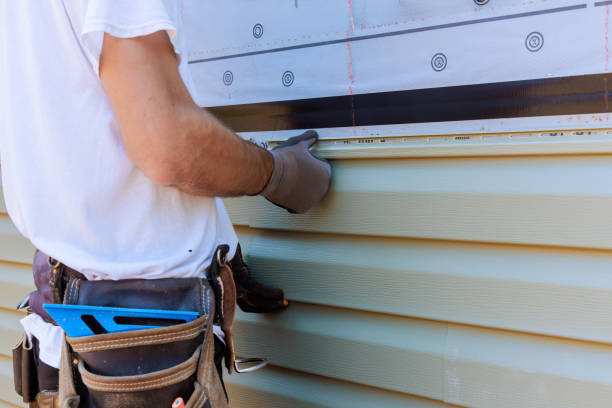 Best Fascia and Soffit Installation  in Carrollton, AL